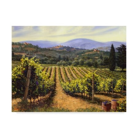 Michael Swanson 'Tuscany Vines' Canvas Art,14x19